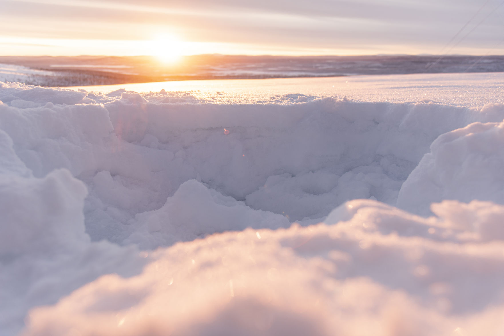 Arctic